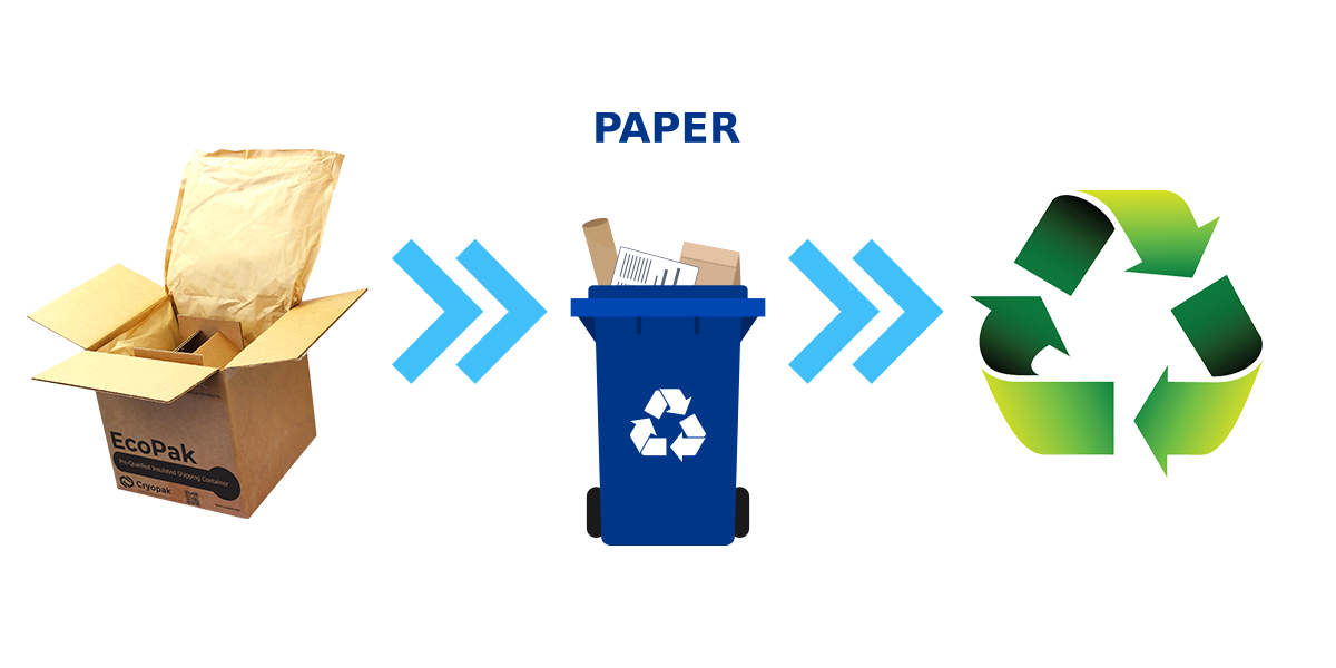 Paper dispose website copy